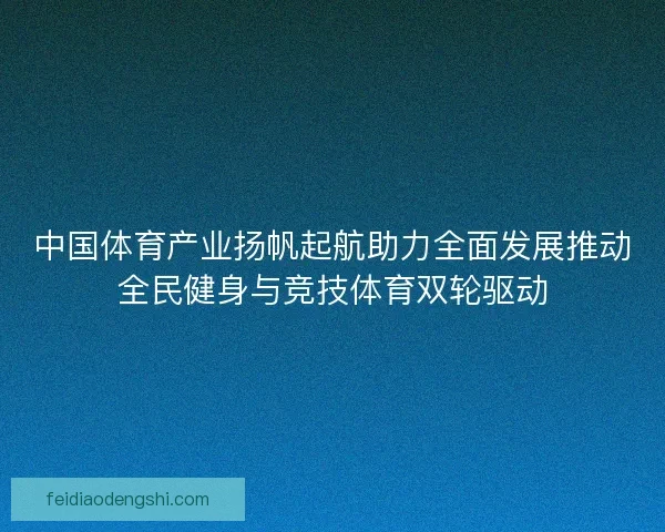 中国体育产业扬帆起航助力全面发展推动全民健身与竞技体育双轮驱动