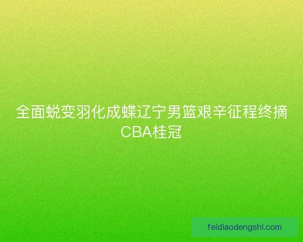 全面蜕变羽化成蝶辽宁男篮艰辛征程终摘CBA桂冠