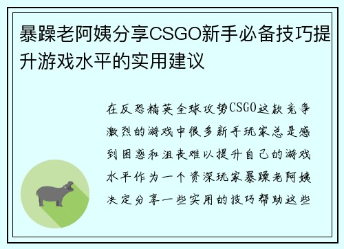 暴躁老阿姨分享CSGO新手必备技巧提升游戏水平的实用建议